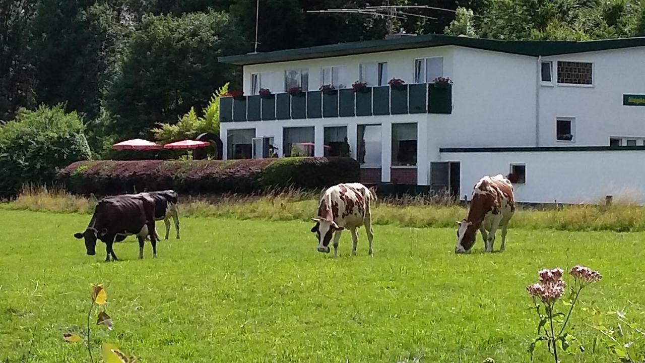 Waldhotel Dierdorf ภายนอก รูปภาพ